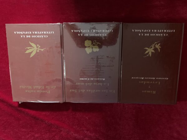 LIBROS; «CLÁSICOS DE LA LITERATURA ESPAÑOLA» - Imagen 9