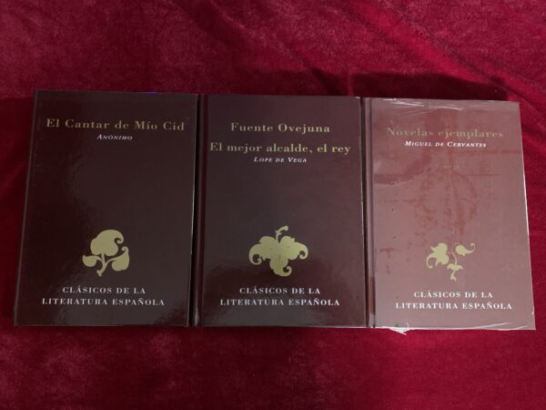 LIBROS; «CLÁSICOS DE LA LITERATURA ESPAÑOLA» - Imagen 10