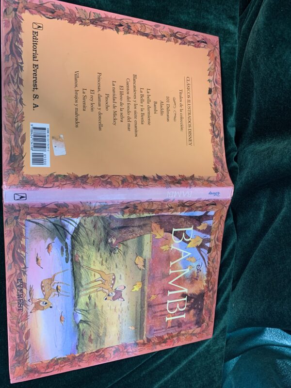 LIBROS; «LOTE CUENTOS DISNEY» 10 LIBROS - Imagen 13