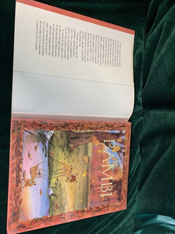 LIBROS; «LOTE CUENTOS DISNEY» 10 LIBROS - Imagen 14
