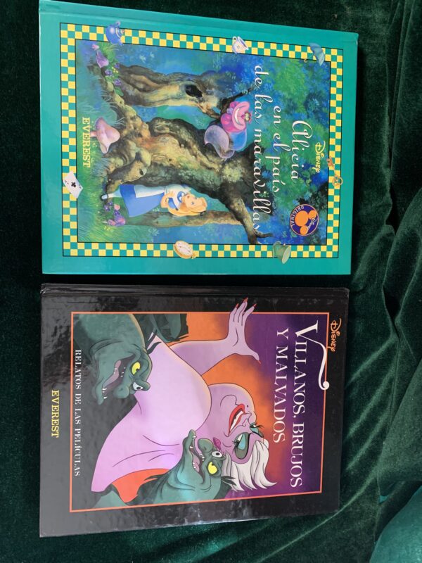 LIBROS; «LOTE CUENTOS DISNEY» 10 LIBROS - Imagen 47