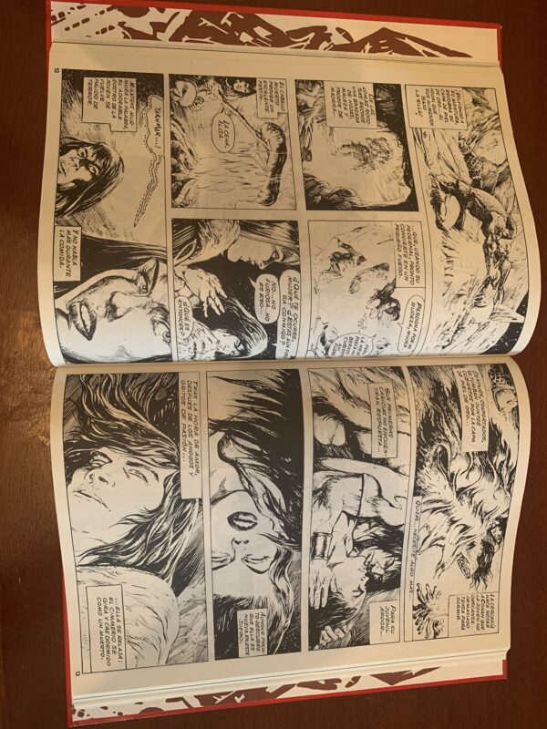 COMIC; COLECCIÓN LA ESPADA SALVAJE DE CONAN EDICIÓN COLECCIONISTA TAPAS ROJAS - Imagen 3