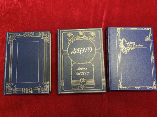 LIBROS; LOTE 18 VOLUMENES «BIBLIOTECA HISTORICA GRANDES PERSONAJES» . - Imagen 11