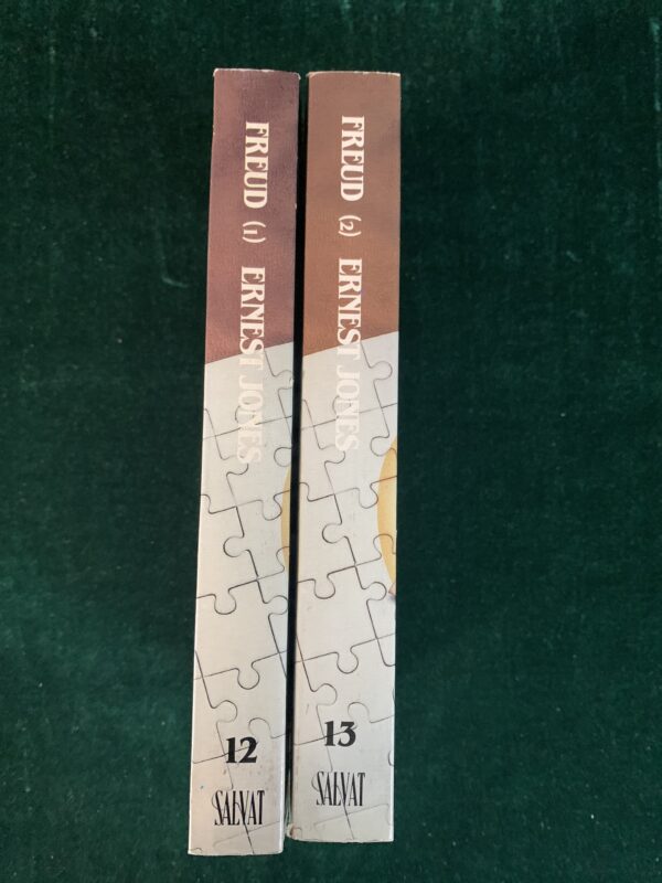 LIBROS; «BIBLIOTECA SALVAT DE GRANDES BIOGRAFÍAS» BIOGRAFÍA FREUD. - Imagen 4
