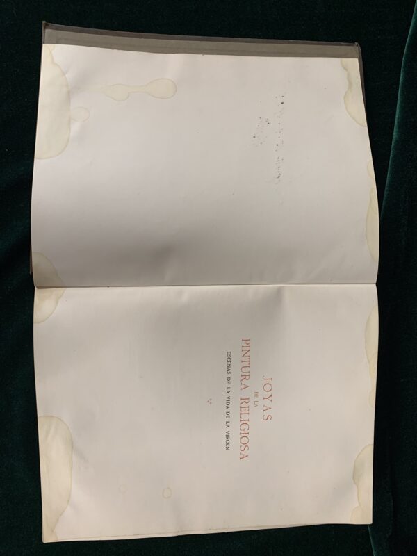 LIBROS; LOTE 2 VOLUMENES JOYAS DE LA PINTURA RELIGIOSA, «ASUNTOS DE LA VIDA DE JESÚS Y DE LA VIRGEN. - Imagen 21