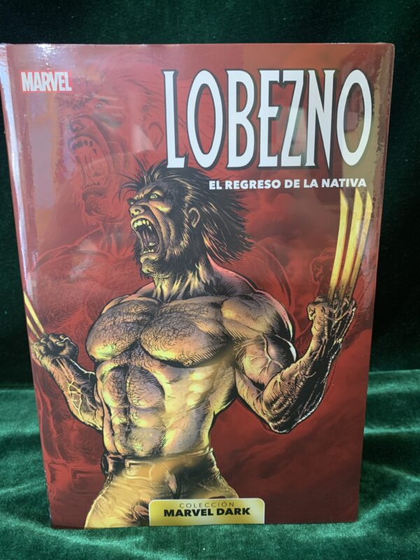 COMIC; COLECCIÓN MARVEL DARK 10 TOMO PANINI - Imagen 13