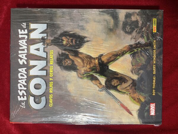 COMICS; «LA ESPADA SALVAJE DE CONAN» BIBLIOTECA CONAN COLECCIÓN COMPLETA 20 VOLUMENES - Imagen 5