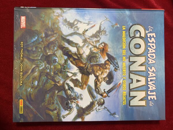 COMICS; «LA ESPADA SALVAJE DE CONAN» BIBLIOTECA CONAN COLECCIÓN COMPLETA 20 VOLUMENES - Imagen 6