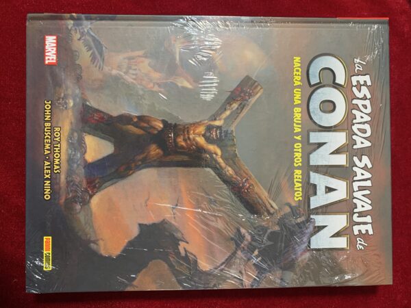 COMICS; «LA ESPADA SALVAJE DE CONAN» BIBLIOTECA CONAN COLECCIÓN COMPLETA 20 VOLUMENES - Imagen 7