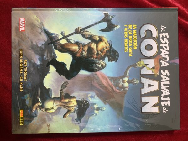 COMICS; «LA ESPADA SALVAJE DE CONAN» BIBLIOTECA CONAN COLECCIÓN COMPLETA 20 VOLUMENES - Imagen 8