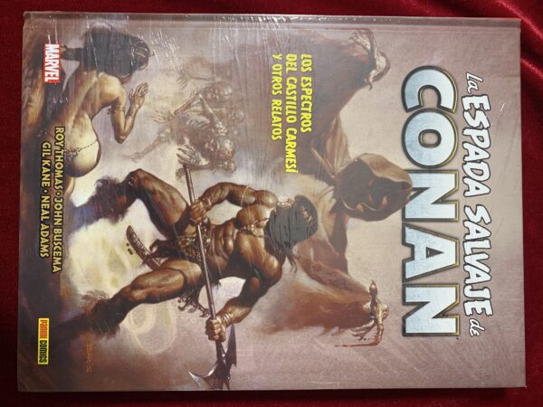 COMICS; «LA ESPADA SALVAJE DE CONAN» BIBLIOTECA CONAN COLECCIÓN COMPLETA 20 VOLUMENES - Imagen 9