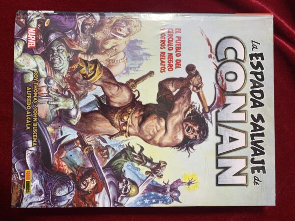 COMICS; «LA ESPADA SALVAJE DE CONAN» BIBLIOTECA CONAN COLECCIÓN COMPLETA 20 VOLUMENES - Imagen 10