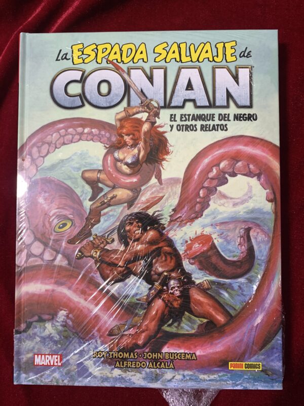 COMICS; «LA ESPADA SALVAJE DE CONAN» BIBLIOTECA CONAN COLECCIÓN COMPLETA 20 VOLUMENES - Imagen 11