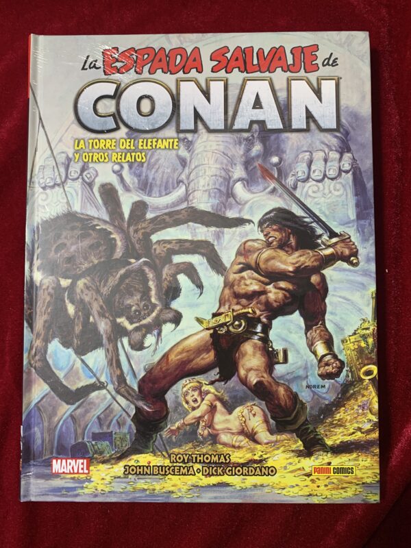 COMICS; «LA ESPADA SALVAJE DE CONAN» BIBLIOTECA CONAN COLECCIÓN COMPLETA 20 VOLUMENES - Imagen 12