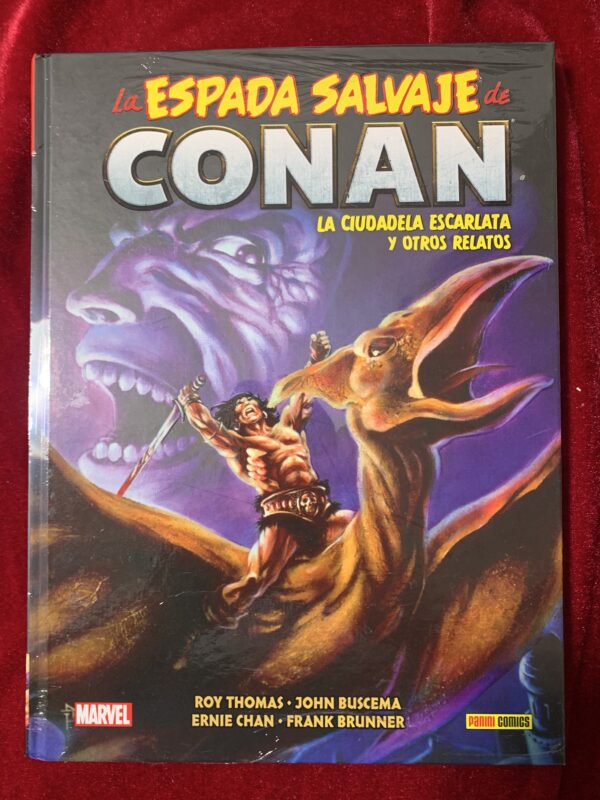 COMICS; «LA ESPADA SALVAJE DE CONAN» BIBLIOTECA CONAN COLECCIÓN COMPLETA 20 VOLUMENES - Imagen 13