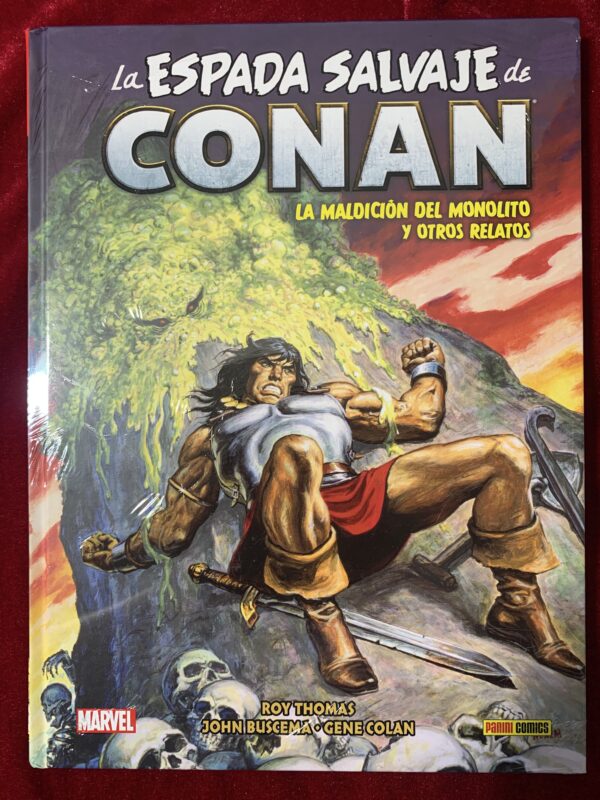 COMICS; «LA ESPADA SALVAJE DE CONAN» BIBLIOTECA CONAN COLECCIÓN COMPLETA 20 VOLUMENES - Imagen 14