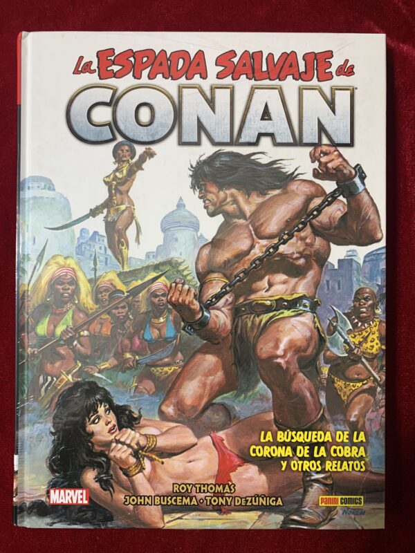 COMICS; «LA ESPADA SALVAJE DE CONAN» BIBLIOTECA CONAN COLECCIÓN COMPLETA 20 VOLUMENES - Imagen 17