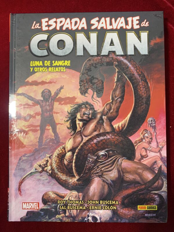 COMICS; «LA ESPADA SALVAJE DE CONAN» BIBLIOTECA CONAN COLECCIÓN COMPLETA 20 VOLUMENES - Imagen 18