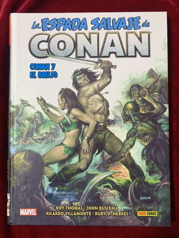 COMICS; «LA ESPADA SALVAJE DE CONAN» BIBLIOTECA CONAN COLECCIÓN COMPLETA 20 VOLUMENES - Imagen 21