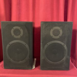 SONIDO: LOTE DOS ALTAVOCES PIONEER S-Z73